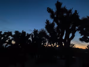 Изгрева в националния парк Joshua Tree