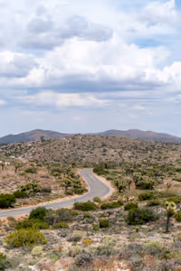 Joshua Tree National Park